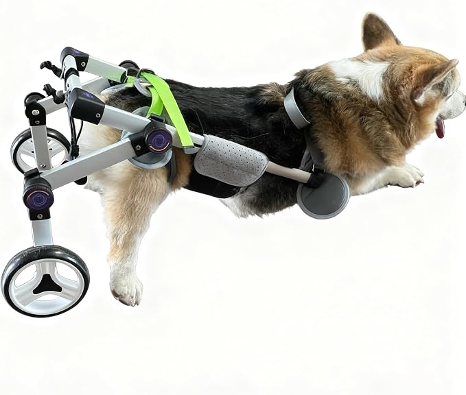 Pet Wheelchair Mobility Support Dog Cart for Back Legs Adjustable Lightweight Lightweight Aluminum Pet Walker for Paralysis Assistance & Post Injury Recovery