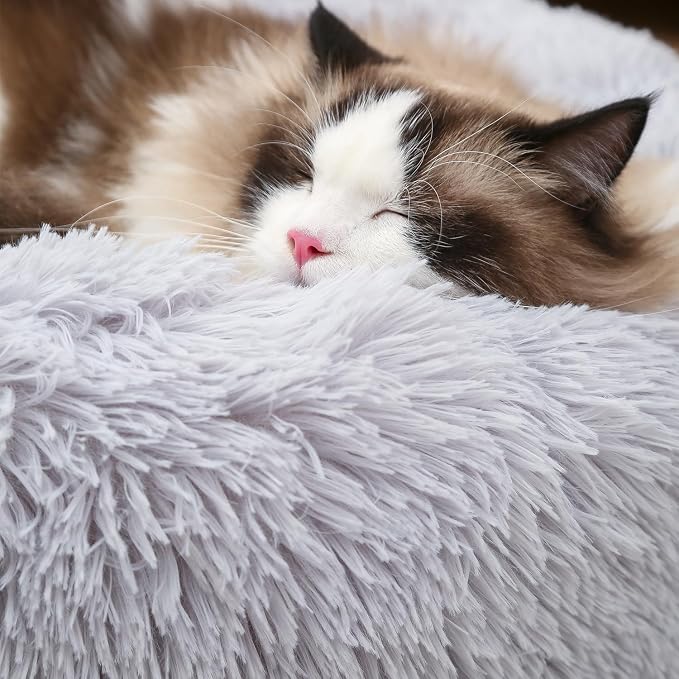 Cat Bed Bunny Bed Kitten Bed Dog Beds for Indoor Cats Pet Beds Cheap Dogs Bed Donut Dog Pillow Large Comfort Cat Pillow Warm for 4Kg Pet