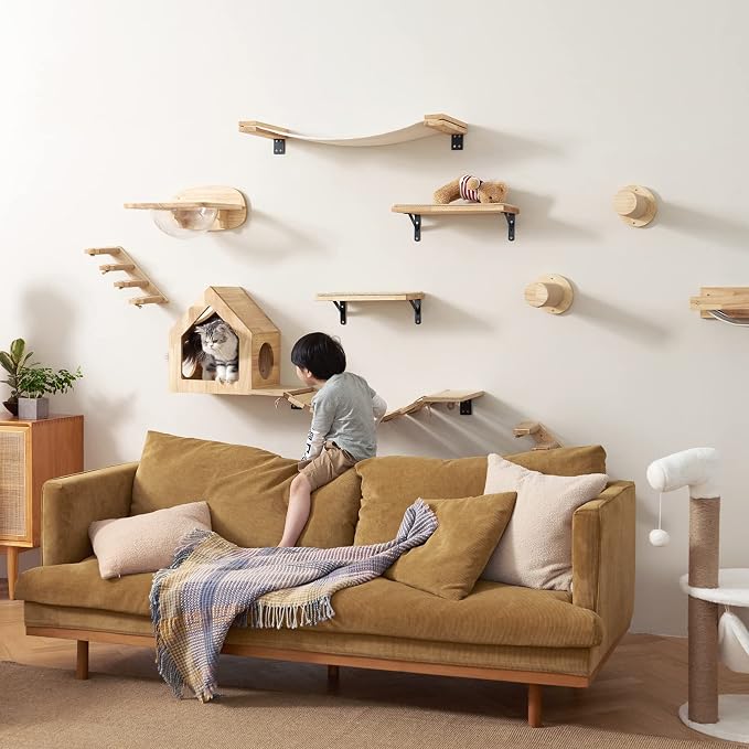 FUKUMARU Cat Wall Furniture Set, Transparent Capsule with 2 PCS Pedals | Kitten Walls Shelves, Premium Kitty Bed, For Sleeping, Playing, Climbing, Lounging, Holds Up to 35 Lbs