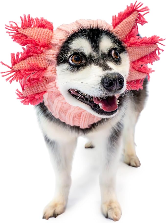 Zoo Snoods Axolotl Dog Costume - Warm Crochet Salamander Snood Wrap for Pets, Neck Ear Cover Protection, Halloween Winter (Medium)