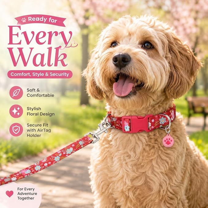 Floral Matching Dog Collar and Leash Set with AirTag Holder-Red Daisy/M | Anti-Lost,Adjustable Durable Pet Collar Leash Combo for Medium Boy Girl Dogs,for Outdoor Walking Hiking Training Running