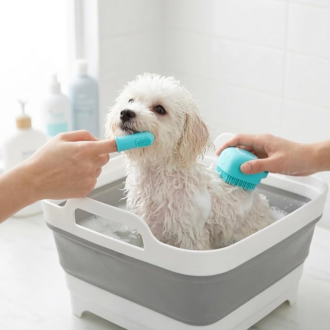 9L Small Puppy Kitten Bath Tub: 12IN Collapsible Tiny Dog Cat Shower Tub | Portable Bathtub for Chihuahua Yorkie Pomeranian Bichon Maltese Shih Tzu Toy Poodle, Foldable Washing Station Indoor Outdoor