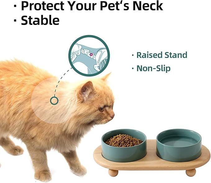Havniva Ceramic Elevated Cat Food and Water Bowl, Kitty Bowl, Raised Cat Dish, Pet Feeder (5.1 in, 2 x Dark Green + Stand)