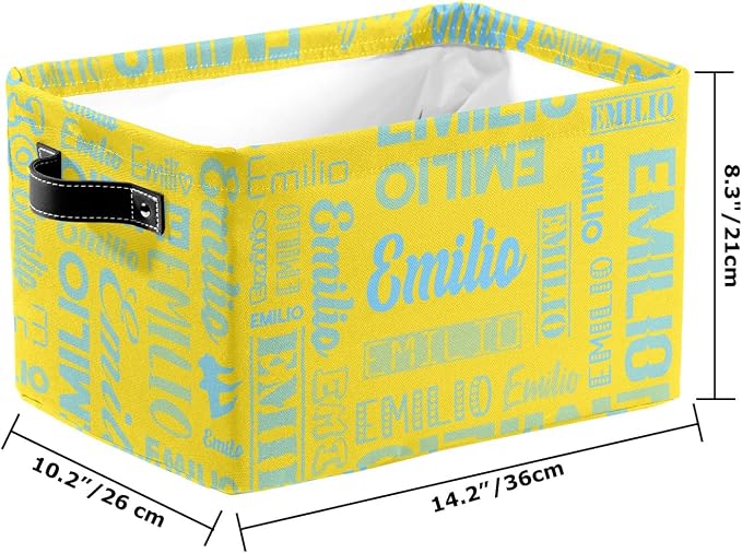 Personalized Toy Box Storage Bins for Boys Girls with Name, Kids Custom Storage Basket Cubes Organizer with Handles, Shelf Closet Storage Baskets Bin Customized Gift, 1 Pack