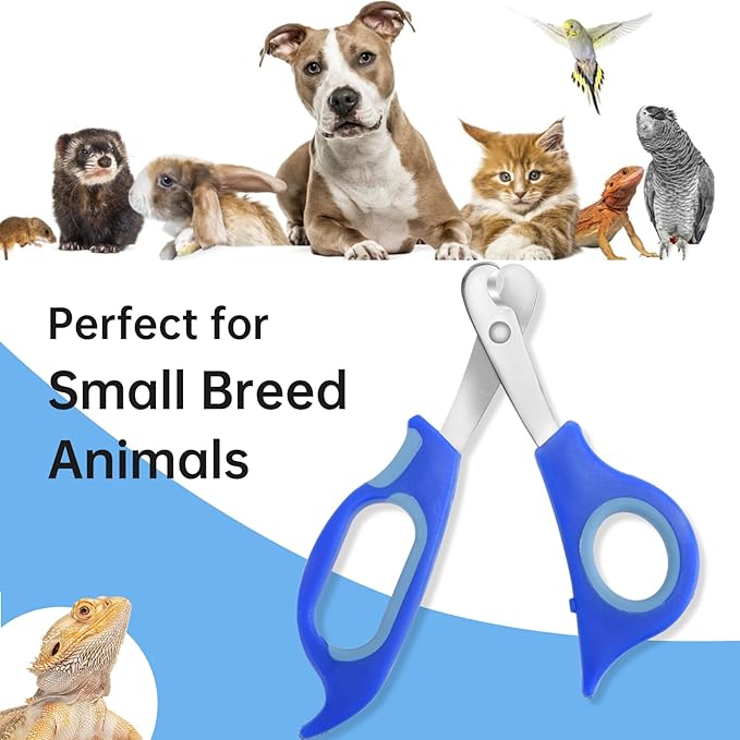 KEUYE Bearded Dragon Nail Clippers,Stainless Steel Bearded Dragon Toe Nail Clippers with Precise Angled Edges (Blue)