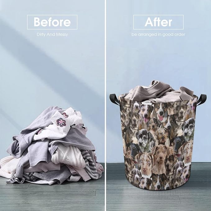 Funny Catahoula Leopard Laundry Basket Laundry Hamper, Foldable Waterproof Pet Catahoula Leopard Clothes Storage Bucket Organizer For Bathroom Bedroom, Catahoula Leopard Lover Gifts