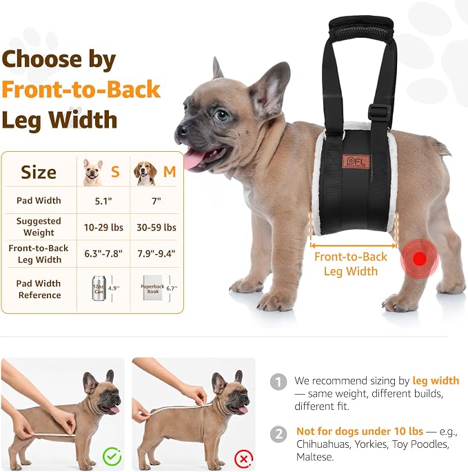Adjustable Dog Lift Harness for Small Dogs Hind Leg Support Weak Legs Aid | Dog Sling, Helps Seniors, Injured, Disabled and After ACL Surgery Dogs, Daily Walk/ Stairs, Soft Padded, Easy to Use