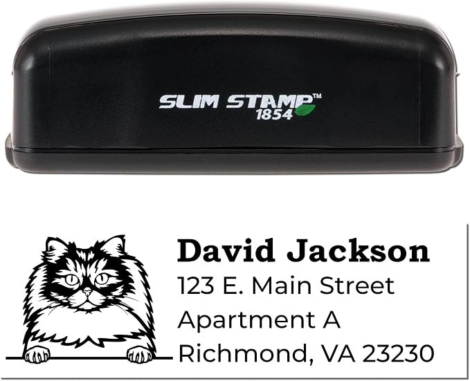 Custom British Longhair Address Stamp - Made to Order Stamps for Cat Lovers & Pet Owners - Perfect Address Stamp for Real Estate Agents - Unique Personalized Stamp, 7/8 x 2-1/4