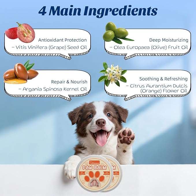 Dental Powder & Pet Teeth Cleaning Powder Kit for Dogs & Cats – Complete Oral Care Kit for Clean Teeth & Fresh Breath – Includes Dog Paw Balm, Nose Balm & Protective Paw Wax