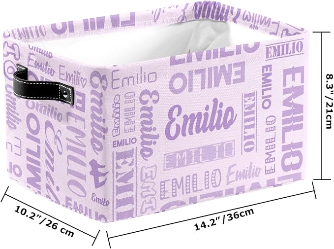 Personalized Toy Box Storage Bins for Boys Girls with Name, Kids Custom Storage Basket Cubes Organizer with Handles, Shelf Closet Storage Baskets Bin Customized Gift, 1 Pack