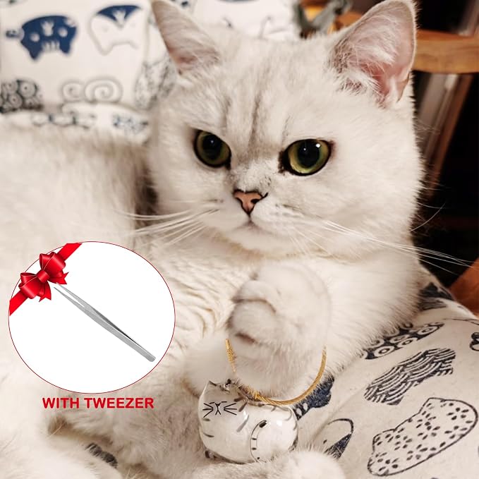 2 Pcs Cat Hair Keychain Transparent Pet Fur Keepsake with Tweezer | Portable Cat Fur Keychain DIY Pet Hair Memorial Keepsake Cats Hairs Collector Charm Storage Box, Cats Lover Collecting Gifts