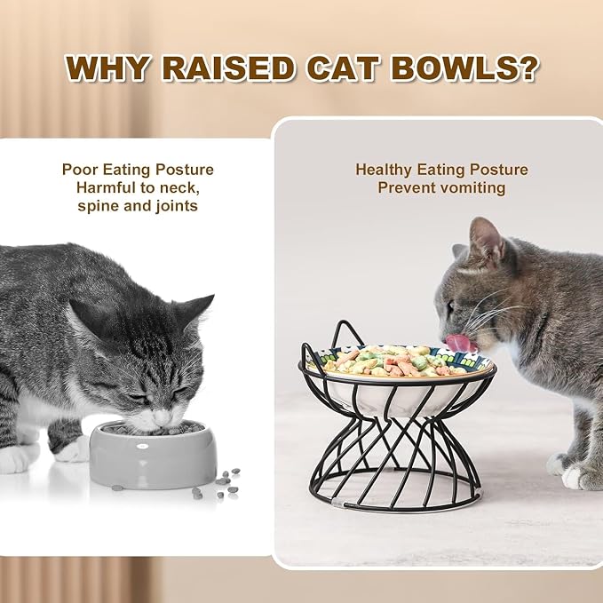 Metal Stand for Cat Dish - Raised Cat Bowl Holder with Anti Slip Sleeves - Black Iron - Elevated, Anti Vomiting, Backflow Prevention - 5.9 x 4.7 inches