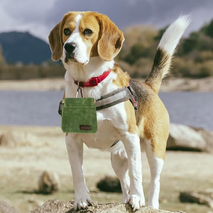 Dog Treat Pouch, Portable Auto Closing Dog Training Treat Bag with Carabiner, Hands Free Pocket Sized Snack Reward Pouch for Puppy Walking Travel Outdoor Use, Green
