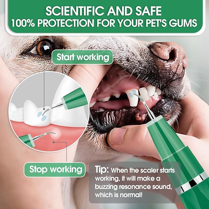 Dog Teeth Cleaning Kit with Pet Oral Spray, Dog Dental Care-Plaque Remover for Teeth, Cleans and Relieves Tooth Sensitivity, Universal for Dogs & Cats, Dark Green