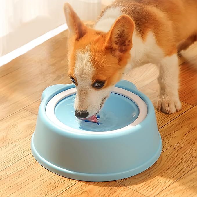 No-Spill Dog Water Bowl for Large Medium Small Dogs and Cats - Anti-Splash Pet Bowl with Floating Disk & Non-Skid Base, 34oz/1L Large Capacity (Blue)