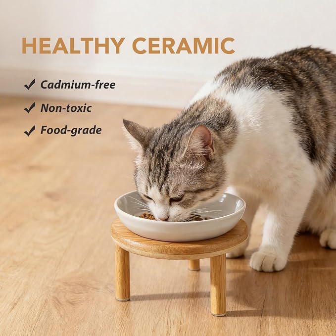 Havniva Elevated Cat Bowls, Ceramic Cat Bowl with Bamboo Stand Wide Opening | 5.7” Raised Cat Food Bowls, Whisker Friendly Cat Dish, Anti-Slip Cat Water Bowls, Shallow Cat Bowls, Cat Food & Water Bowl