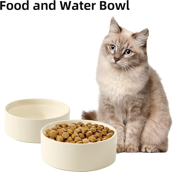 Havniva Ceramic Set of 2 Cat Bowls, Food and Water Bowls for Cats, Kitty, 2pcs Cat Dishes, Pet Feeder(5.1inch, 2 x Light Yellow Bowls)