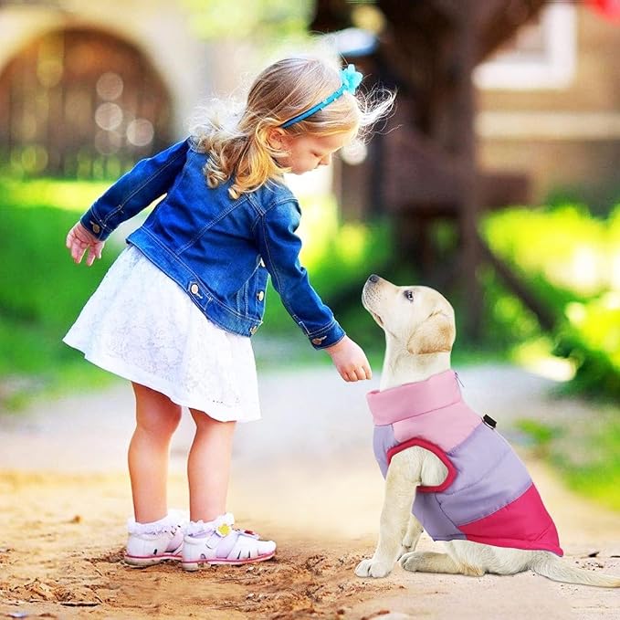 Idepet Pet Dog Cat Coat with Leash Anchor Color Patchwork Padded Puppy Vest Jacket Teddy Chihuahua Costumes Pug Cloth XS S M L(XX-Large,Rose Red)