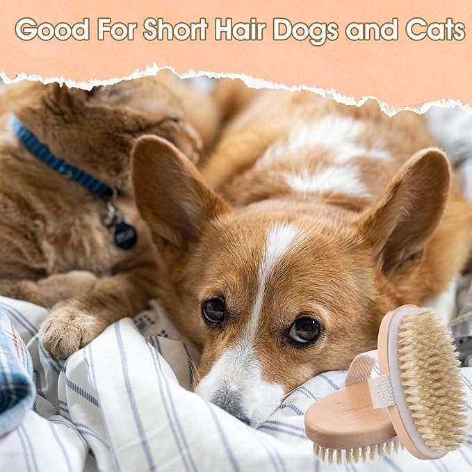Soft Boar Bristle Pet Brush, Ergonomic Dog Brush Reduces Shedding, Ideal for Daily Gentle Grooming Natural Palm Brushes for Short Haired Dogs & Cats with Non-Slip Band