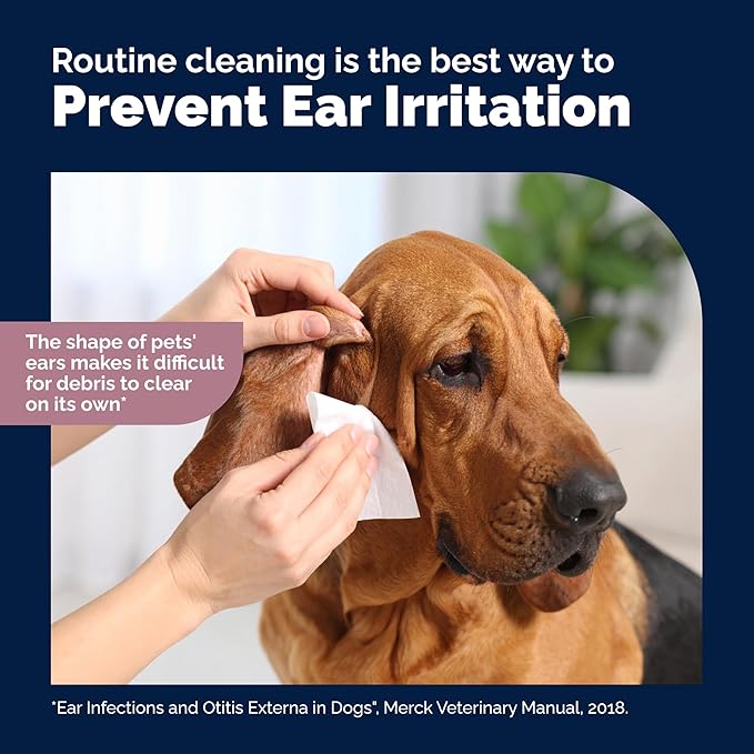 Vetnique Oticbliss Cat & Dog Ear Wipes - Dog Ear Infection Wipes or Dog Ear Cleaner Wipes for Dirty, Waxy, Smelly Ears, Odor Control with Aloe Vera & Salicylic Acid (X-Lg Ear Cleaning Wipes (60ct))