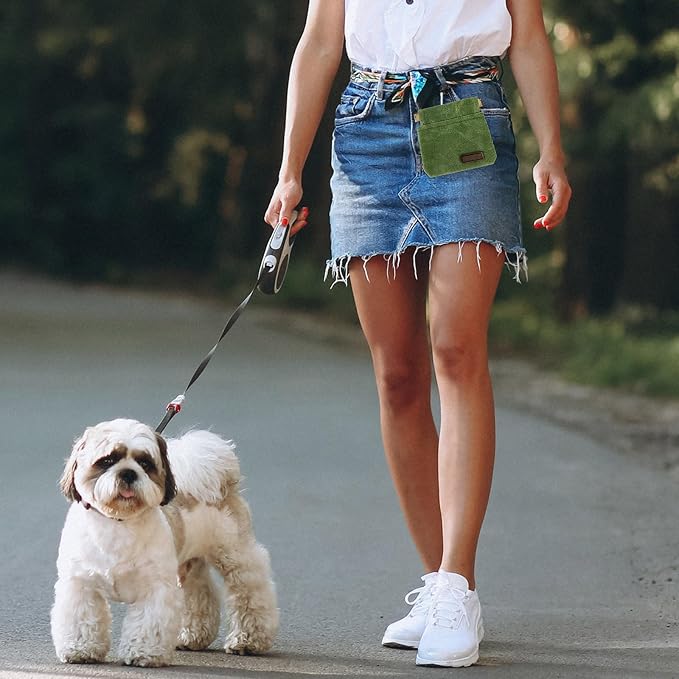 Dog Treat Pouch, Portable Auto Closing Dog Training Treat Bag with Carabiner, Hands Free Pocket Sized Snack Reward Pouch for Puppy Walking Travel Outdoor Use, Green