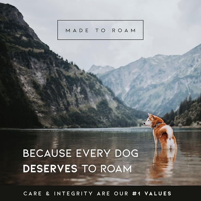 MADE TO ROAM Explorer Dog Collar | Heavy Duty Nylon & Durable Metal Buckle | Premium adjustable collar with rust-resistant hardware. Fits small to large dogs. 15 colors. Matching leash & harness