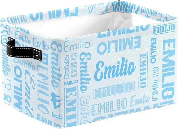 Personalized Toy Box Storage Bins for Boys Girls with Name, Kids Custom Storage Basket Cubes Organizer with Handles, Shelf Closet Storage Baskets Bin Customized Gift, 1 Pack