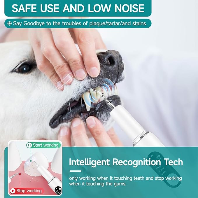 Dog Teeth Cleaning Kit Dog Plaque and Tartar Remover with LED Light 5 Adjustable Modes Electric Toothbrush Pet Teeth Cleaner for Dogs and Cats (Off-White)