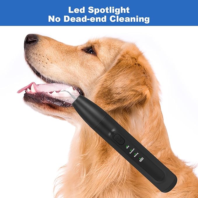 Dog Tooth Brushing Kit,Dogs Teeth Cleaning Kit with Light,3 Modes Doggie Plaque and Tartar Remover for Teeth,Low Noise Dog Teeth Cleaner and Dental Care,Black