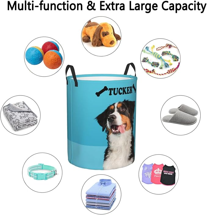Personalized Large Dog Toy Storage Basket Bin Collapsible Custom Pet Stuff Box Chest Container for Living Room Organizer for Dog Toys,Dog Food,Blankets,Clothing (SkyBlue)