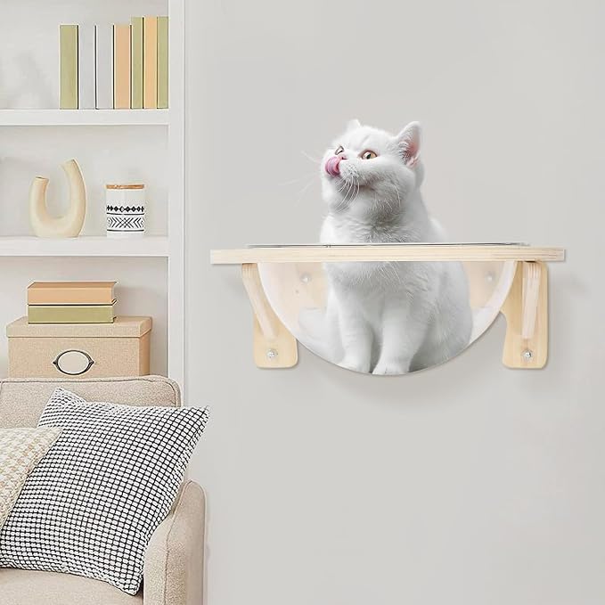 Wall-Mounted Clear Cat Bed Space Capsule - Modern Wooden Cat Wall Shelves for Indoor Cats with Strong Suction Cups, Holds Up to 16.5 lbs