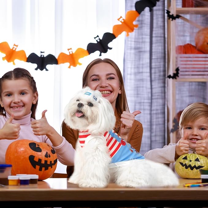 BINGPET Dog Halloween Shirt, Deadly Doll Funny Dog Halloween Costumes Puppy Tshirts Outfit,Breathable Sleeveless Tank Top Vest & Sweatshirt for Small Medium Dogs Cats (XS)