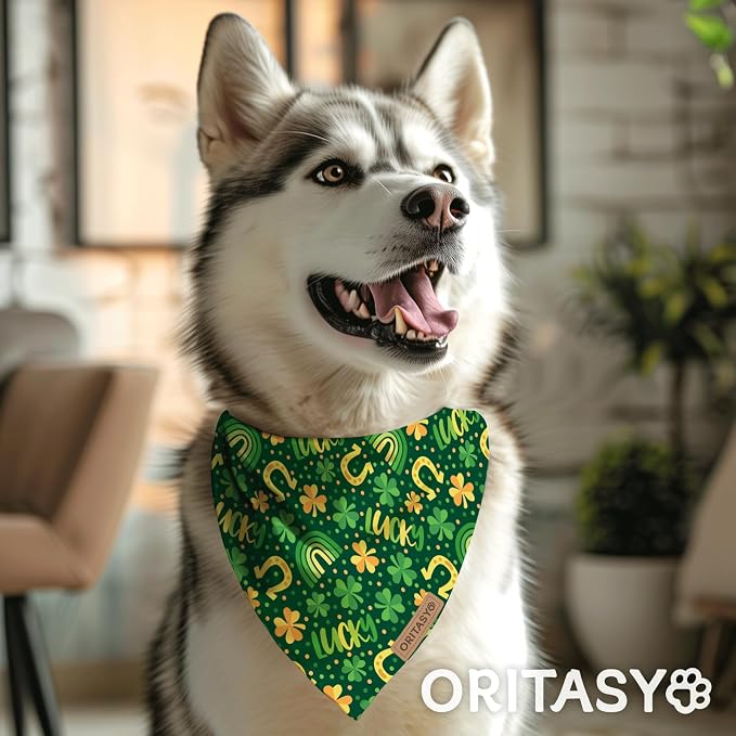 St. Patrick's Day Dog Bandanas, 2-Pack Triangle Reversible Love Pet Scarves, Premium Fabric, Irish Bandana for All Dogs (Small, Style 1)