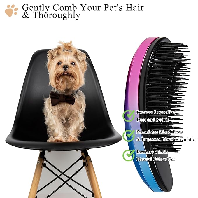Small Dog Brush, Soft Pet Grooming Brush for Shih Tzus, Yorkies, Maltipoos, Maltese, Puppy Massaging Hair Brush, Cat Brush, for Small Animals Rabbits of All Hair Types (Gradient Color)