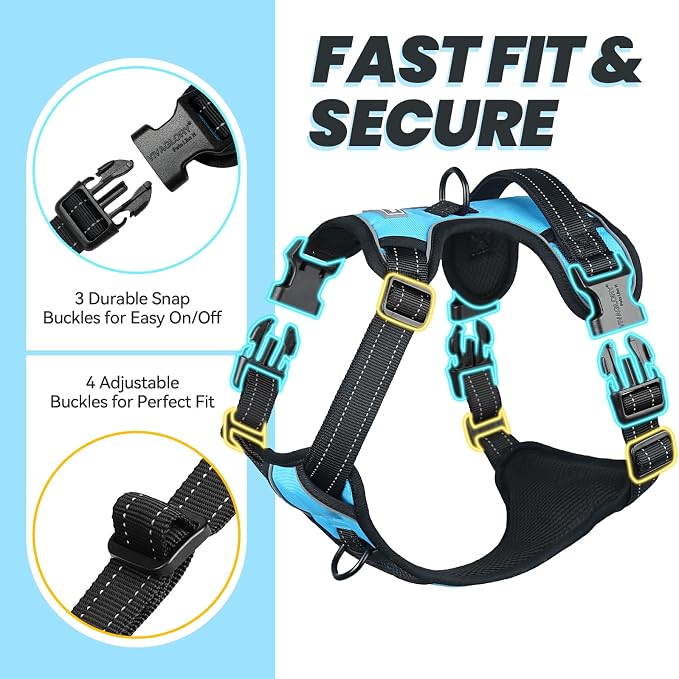 VIVAGLORY No Pull Dog Harness Vest Harness, L, Sky Blue - Plain | with Handle Front and Back Clip for Training & Pulling, No Pull & Escape Proof Padded Adjustable for Pet Puppy