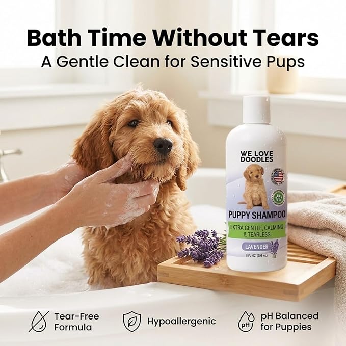 Puppy Shampoo & Conditioner | Made in USA | Tear Free | Best Shampoo for Puppies | Sensitive & Itchy Skin Wash | Oatmeal Bathing | Tearless, Lavender, 8oz [We Love Doodles]