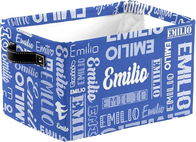 Personalized Toy Box Storage Bins for Boys Girls with Name, Kids Custom Storage Basket Cubes Organizer with Handles, Shelf Closet Storage Baskets Bin Customized Gift, 1 Pack