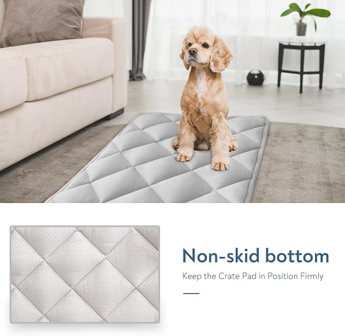 Dog Crate Pad 2 Pack, Soft Dog Crate Mat with Anti-Slip Bottom, Grey | Fits 24 Inch Crate, Machine Washable, Kennel Pad, 24” x 18”