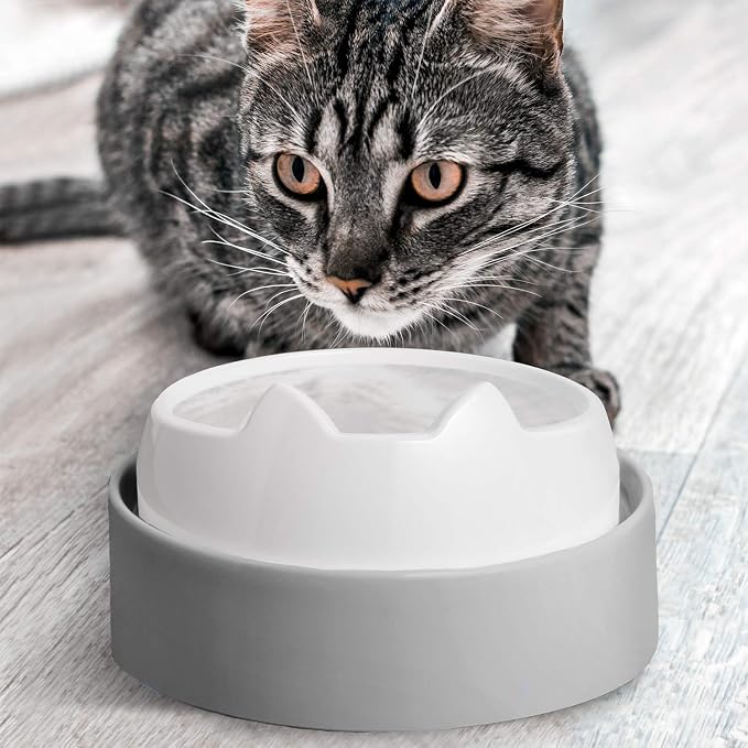CatGuru Food Table for Cat Bowls, Elevated Feeding Station for Cat Food Bowl, Raised Stand for Pet Food and Water Bowls, Pet Feeder for Indoor Cats, Stress Free Stand for Pet Dishes or Plates (Grey)