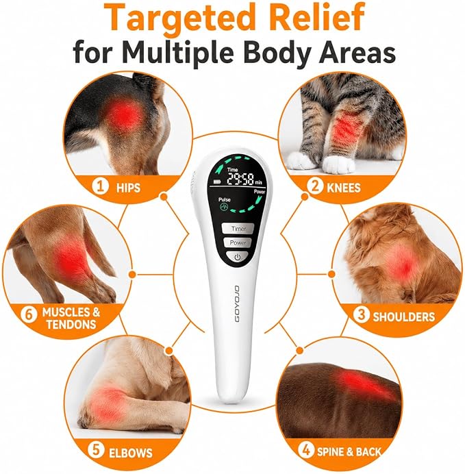 GOYOJO Cold Laser Therapy for Dogs – Red Light Device with Stand | 650nm*14, 808nm*4 & 980nm*2 Infrared Light for Joint Support, Mobility & Skin Wellness in Pets