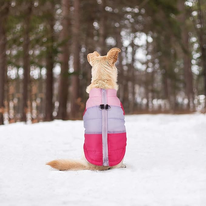 Idepet Pet Dog Cat Coat with Leash Anchor Color Patchwork Padded Puppy Vest Jacket Teddy Chihuahua Costumes Pug Cloth XS S M L(XX-Large,Rose Red)