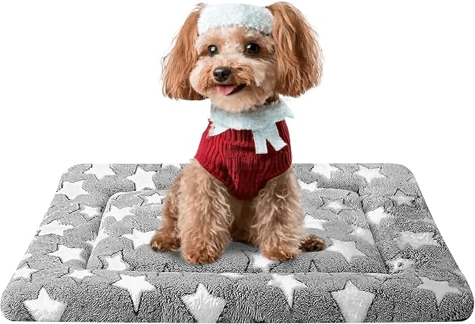 Dog Bed Mat, Reversible Crate Pad, Machine Washable for Small Dogs | Ultra soft plush, dual-sided cool/warm, machine washable kennel mat for small dogs, cute travel bed