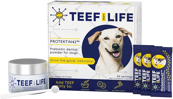 TEEF FOR LIFE Protektin42 Prebiotic Dental Powder for Dogs, Plant-derived, Clinically-Proven Formula Naturally Fights Bad Breath, Plaque, and Tartar, Dental Kit with 90 Servings (3 Packets)