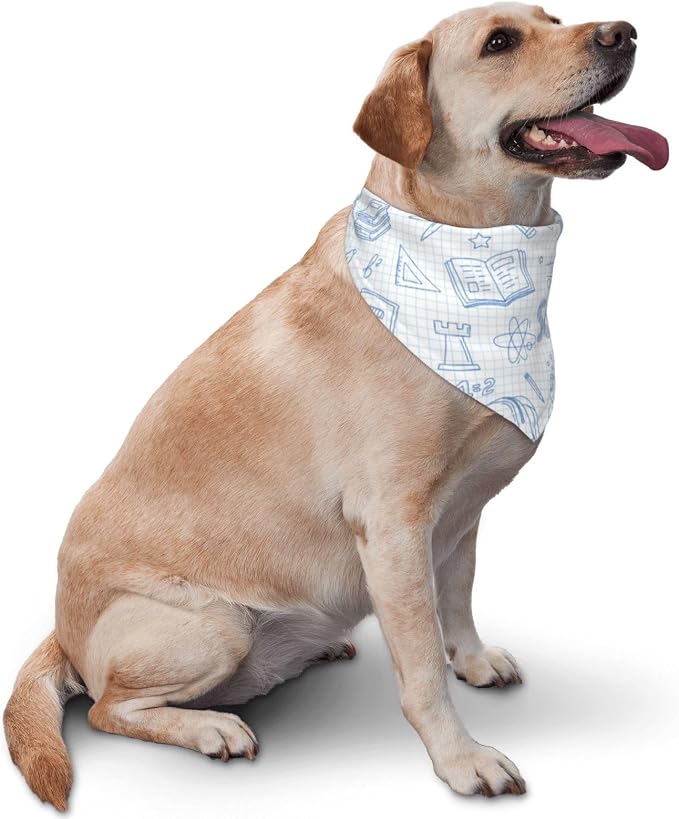 Teacher's Pet Dog Bandana,Funny Bandana Gift,Photo Prop Accessories for Dog Lovers Owner Gift,Triangle Reversible Fall Scarf, Adjustable (Light Blue)