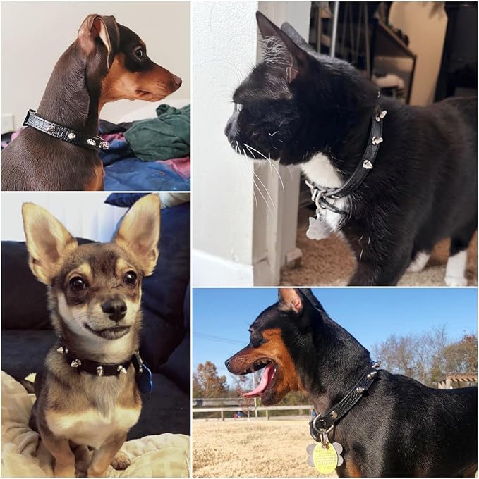 Enjoying Spike Cat Collar, Spiked Dog Collar for Extra-Small to Small Dogs, Anti-Bite Studded Protective, Faux Leather Spiky Collar with Metal Rings for Hold Pet Tags/Leash, Adjustable, Black, XS
