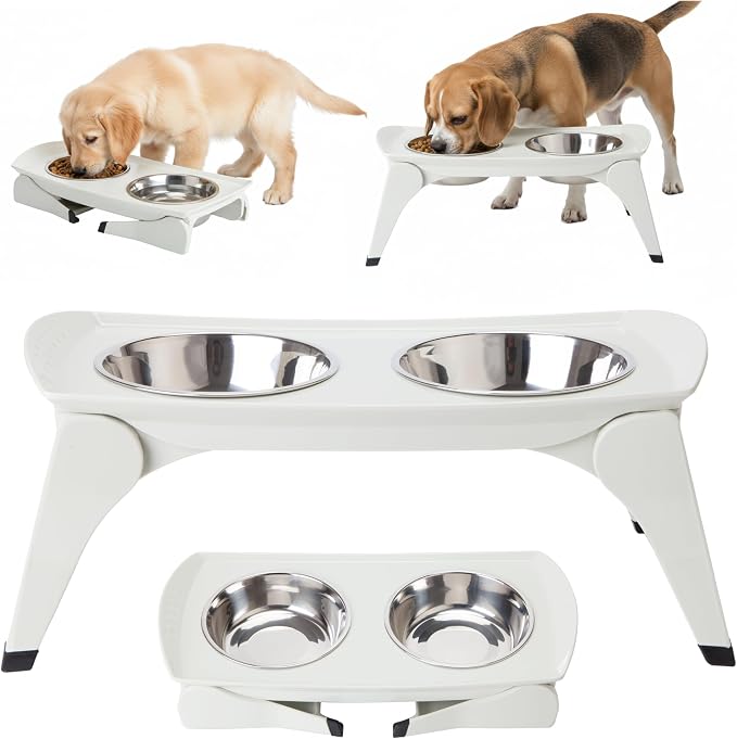 MalsiPree Elevated Dog Bowls - 6.5in Raised Stand, 2 Steel Bowls | Foldable raised feeder - splash guard, 2 steel bowls - Use for small dogs, travel & feeding station
