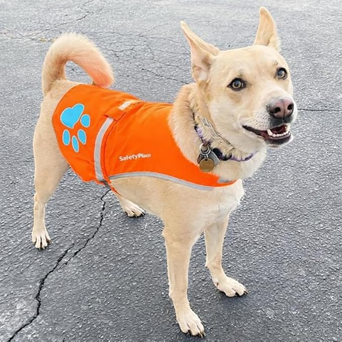 Blaze Orange Dog Vest. Reflective High Visibility in Hunting & Wooded Areas