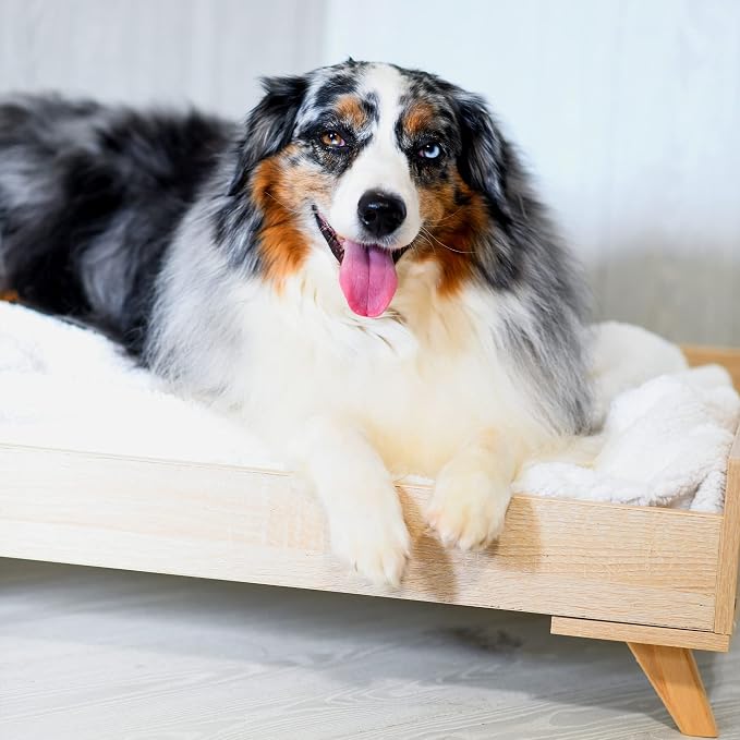 Midlee Raised Wooden Dog Bed Frame- Large