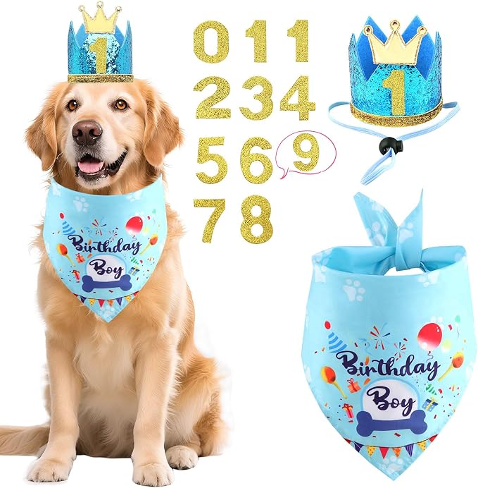 Rensh Dog Birthday Party Supplies, Dog Birthday Bandana Hat with Numbers for X-Large Large Small Pets, Multi Size Birthday Decorations for Dogs and Cats (Blue, Large)