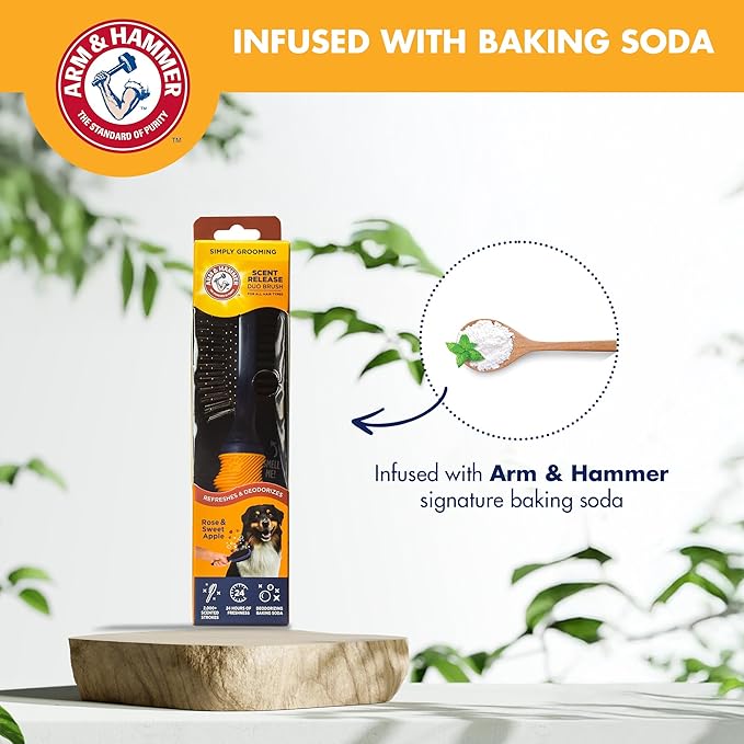 Arm & Hammer Deodorizing 2-in-1 Pin & Bristle Dog Brush, Fragrance Transfer Technology with Baking Soda, Detangling & Shedding, Dog Grooming Brush for Long Hair, Sweet Apple & Rose Scent
